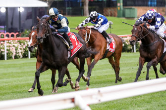 Cox Plate winner Sir Dragonet ticks plenty of boxes and has Makybe Diva's jockey Glen Boss in the saddle.