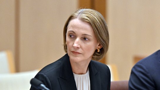 Telstra chief executive Vicki Brady has conceded the company had received warnings about the device that caused the error.