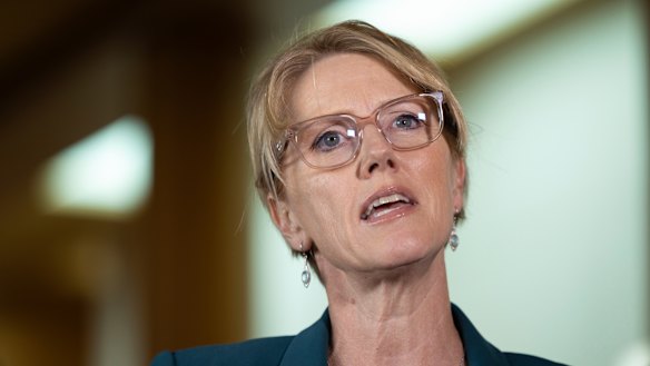 Independent MP Zoe Daniel says Coalition voters in her part of Melbourne are unlikely to be swayed by Dutton’s proposals.