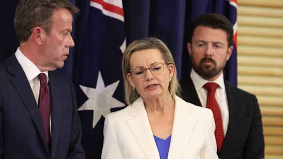 Sussan Ley says net zero would be a “welcome outcome” but the Liberal Party won’t do anything to make it happen. 
