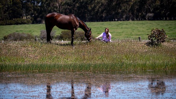 Living the dream: retired racehorse Grand Dreamer with Nikki Cook.