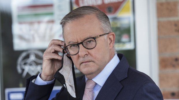 Labor leader Anthony Albanese told a radio interviewer that he was unaware of claims a US firm tried to create a TikTok campaign favouring his party.