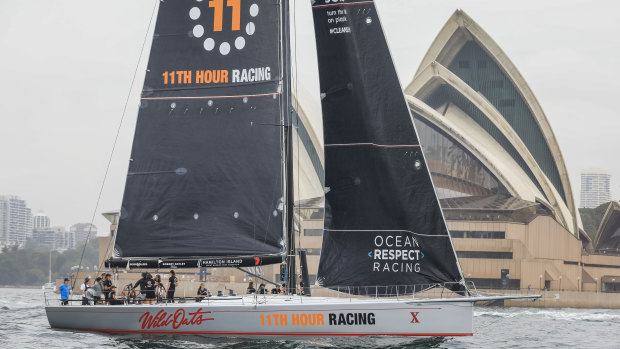 At sail: Wild Oats X in 11th Hour Racing colours on a practice sail in Sydney Harbour.