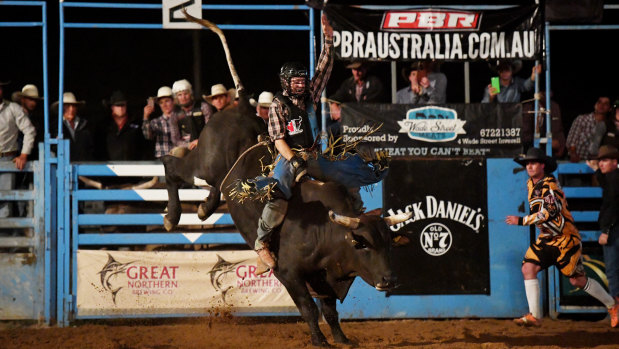 Ride 'em, cowboy: Will Purcell at a Professional Bull Riders event at Inverell, NSW, in 2017. 
