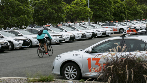 Cabs with their number plates removed sit idle in Tempe Reserve during coronavirus lockdown in April.