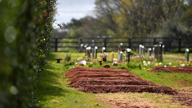 Pre-dug graves for COVID-19 deaths at Maker cemetery in Cornwall.