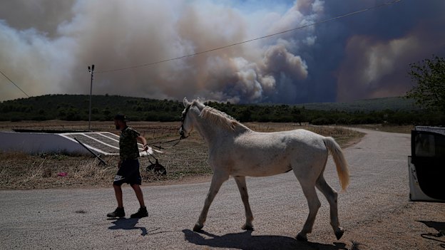 A man evacuates his horse from the bushfires near Athens.