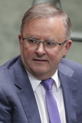 Opposition Leader Anthony Albanese.