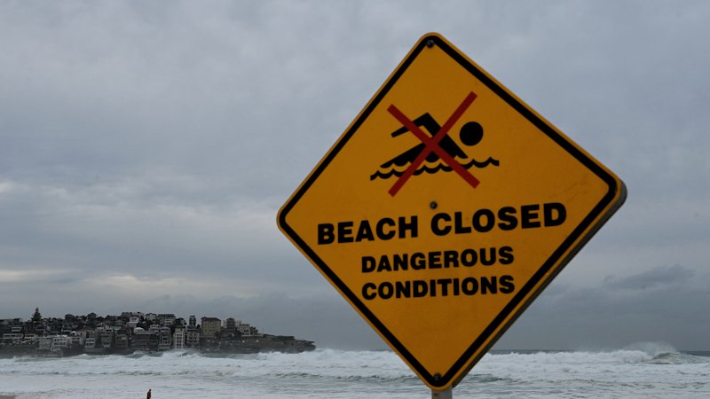 Sydney beaches closed for third consecutive day after shark sighting