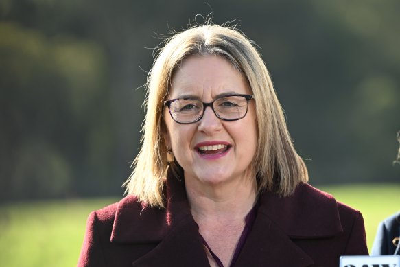 Premier Jacinta Allan speaking to reporters in May.