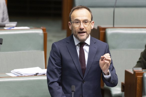 Greens leader Adam Bandt during today’s energy debate. 