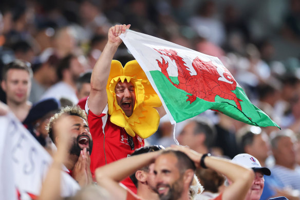 Wales fans are loving it in Bordeaux. 