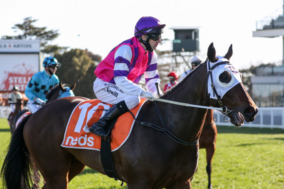 Immortal Love and Craig Newitt return after winning the McNeil Stakes at Caulfield on Saturday.