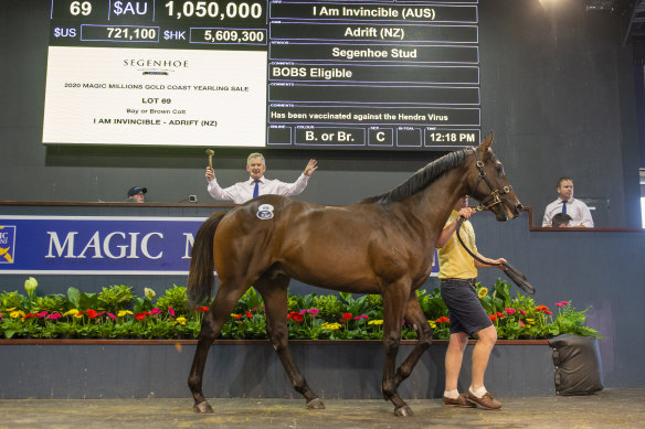 The John Camilleri-bred I Am Invincible colt became the first million-dollar baby at the Magic Millions Sale on Wednesday 