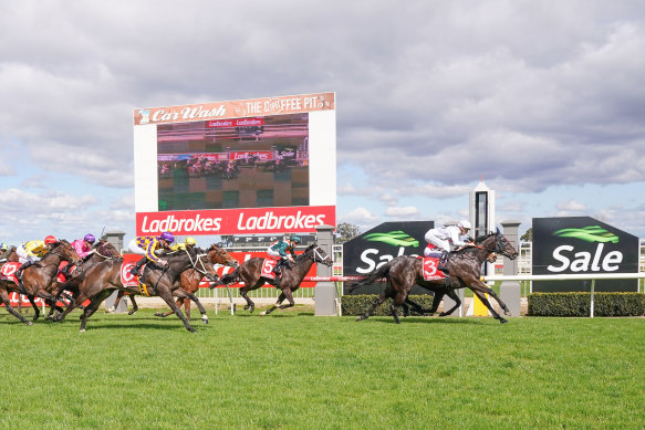 Ladbrokes owner Entain will begin advertising in NSW pubs.