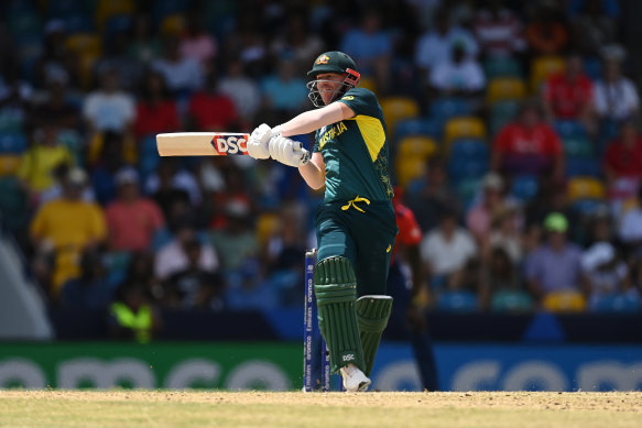 David Warner scored 20 from eight balls.