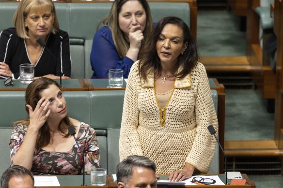 Minister for Early Childhood Education Anne Aly said senator Fatima Payman’s vote on Tuesday night was “inconsequential to the people of Gaza”.