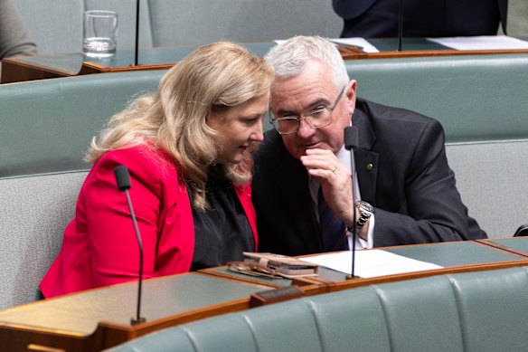 Member for Mayo Rebekha Sharkie and Member for Clark Andrew Wilkie  speak in the House of Representatives in 2022. 