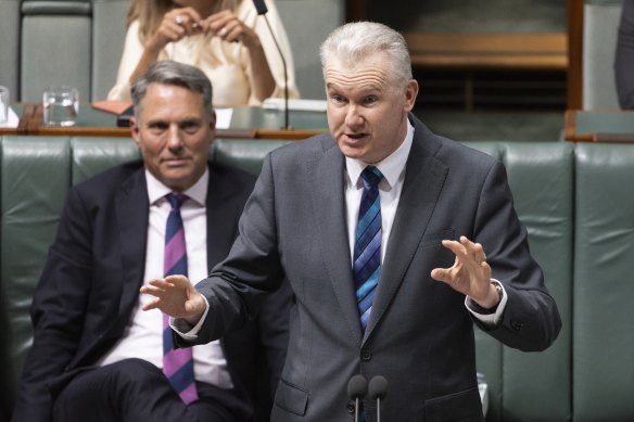 Workplace Relations Minister Tony Burke is weighing up federal interventions including deregistering the CFMEU’s construction division or appointing an external administrator.