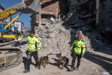 Rescue dogs are being used to search collapsed buildings for survivors.
