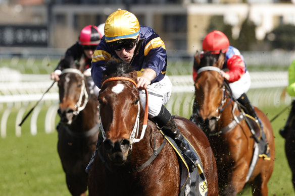 Tommy Berry drives  Masked Crusader  to victory at Randwick.