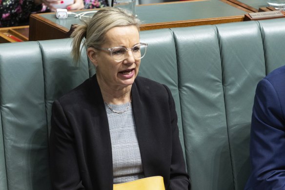 Sussan Ley called Bowen’s accusations “juvenile” and said the energy crisis was “spinning out of control on his watch”.
