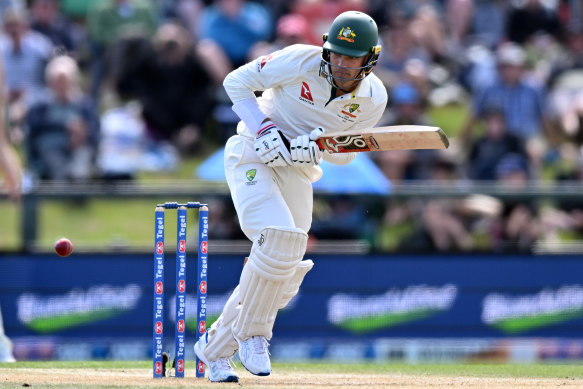 Alex Carey bats in Christchurch.