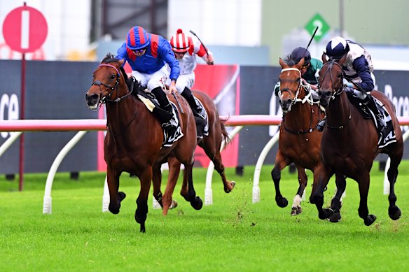 Jockey Tom Marquand rides Dubai Honour to victory in the group 1 Tancred Stakes at Rosehill on April 1.