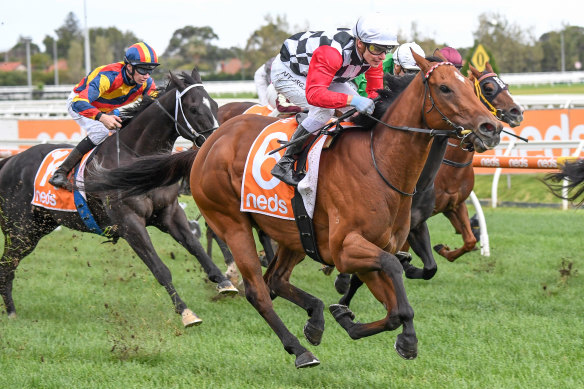 Diamond Effort, with Ben Melham in the saddle, wins at Caulfield on Saturday.