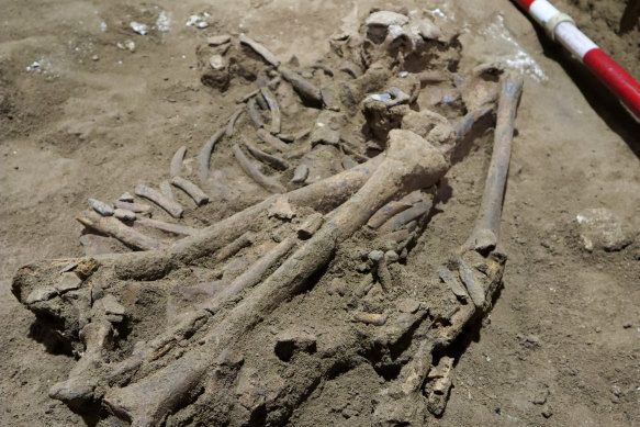 The human skeleton dated to about 31,000 years ago, pictured in a cave in East Kalimantan, Borneo.