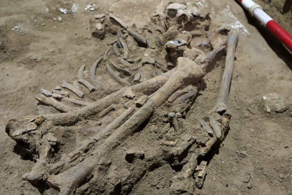 The human skeleton dated to about 31,000 years ago, pictured in a cave in East Kalimantan, Borneo.