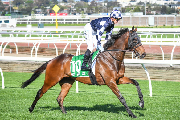 Young Werther at Flemington last year.