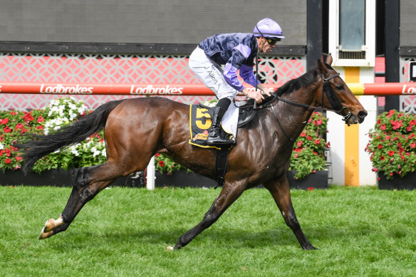 My Oberon with John Allen in the saddle.