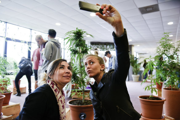 Visitors take selfies at a Cannabis Expo in Uruguay in 2015.
