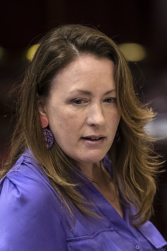 NSW Greens MP Abigail Boyd used a parliamentary order to have childcare regulatory documents released which outlines serious instances of abuse and neglect.