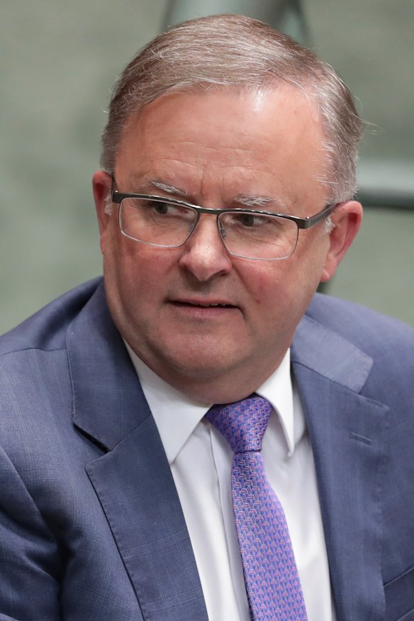 Opposition Leader Anthony Albanese.
