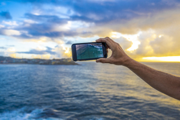 Iggleden uses his drone to broadcast Sydney’s sea life to the world.