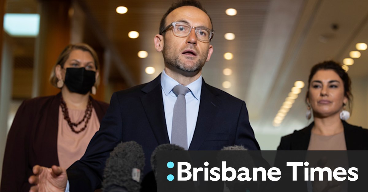 Greens take workplace safety 'very seriously', leader says after week of revelations - Vimarsana News