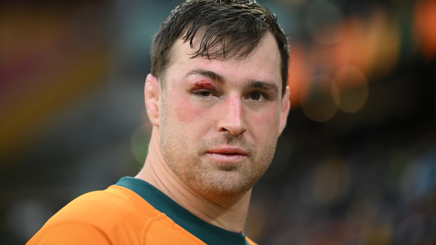 Wallabies are on the canvas and there’s no easy way back up. Here’s why