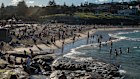 Beachgoers at Bronte Beach. The summer is arriving at the same time as the effectiveness of sunscreens is in question.