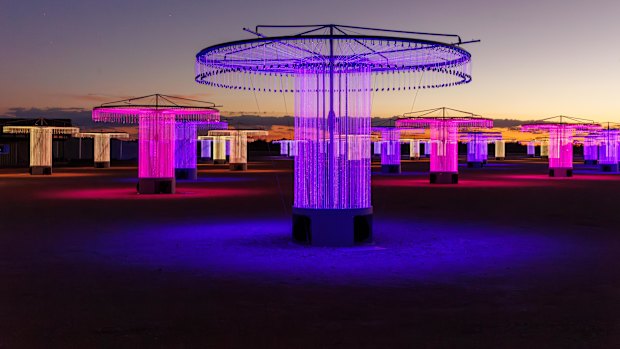 Purple reign … FOSO dazzles under the night sky.