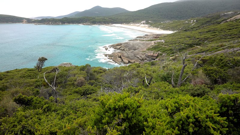 The impact of This beach was crowned Australia’s best. Is it being ‘loved to death’? on global standards