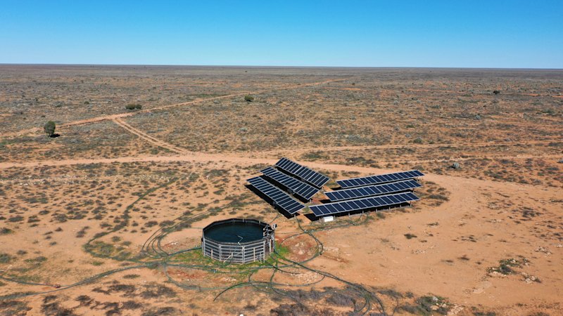 UK billionaire buys 700,000-hectare WA sheep station amid buying spree