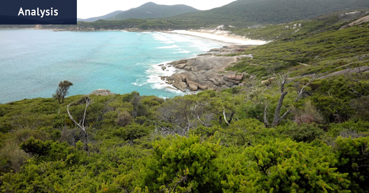 This beach was crowned Australia’s best. Is it being ‘loved to death’?
