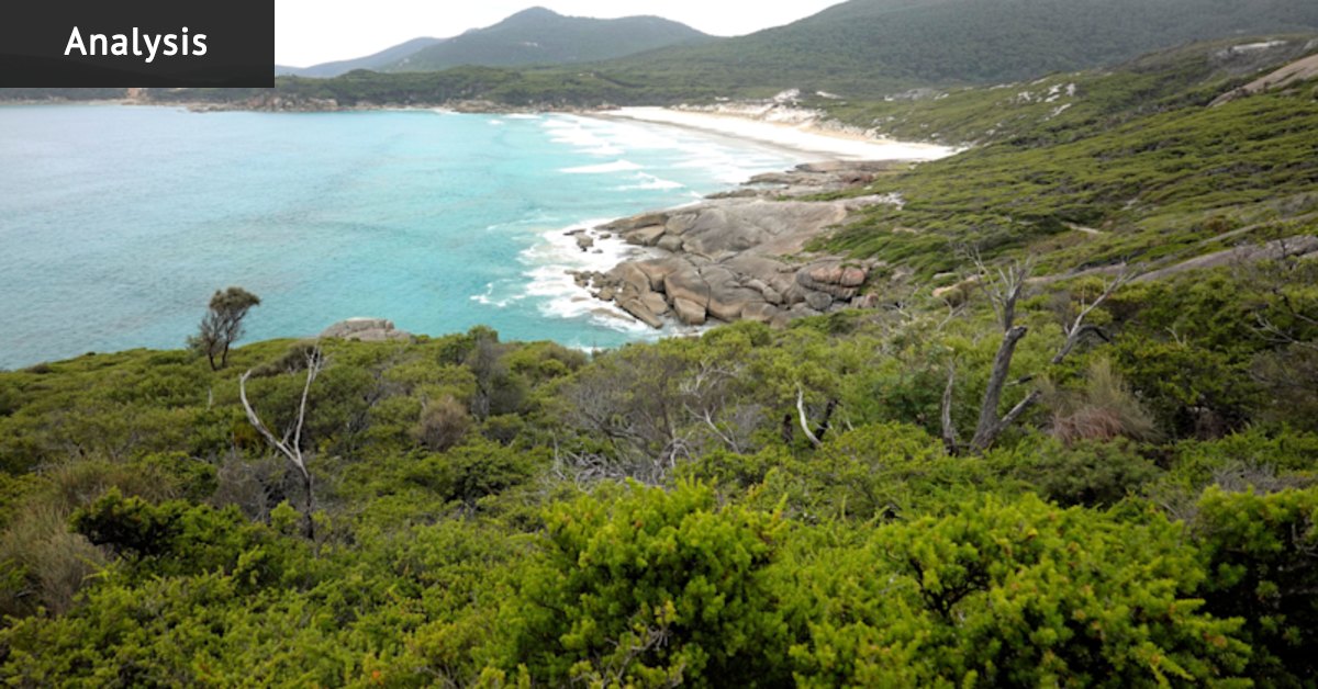 This beach was crowned Australia’s best. Is it being ‘loved to death’?
