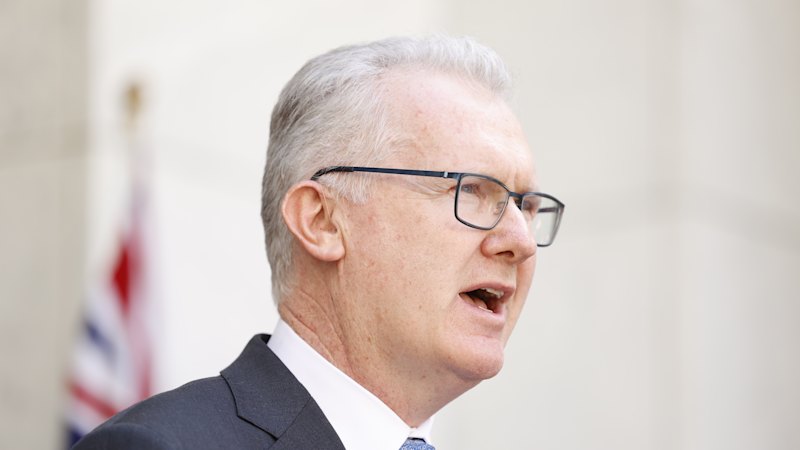 Burke migration overhaul delayed as Albanese seeks cabinet sign-off
