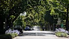 Melbourne’s tree canopy, a quiet but vital  amenity, faces slow death by a thousand cuts or in this case, a thousand chops.  