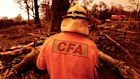 The CFA annual report has belatedly been published amid a political stoush over funding. 