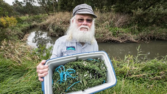 Neil Blake, Port Phillip Baykeeper, collects pieces of artificial turf near the Darebin Creek. The scraps blew in from nearby sporting fields. 