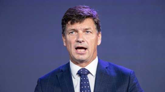 Energy Minister Angus Taylor at the Summit.